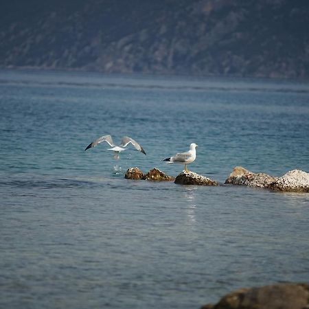 Belvedere Suites Kórfos Dış mekan fotoğraf